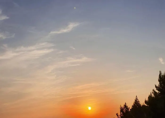 The Sunset View